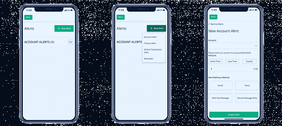How to Set Up Email, Text and Voice Alerts for Your Bank Account | Extraco  Banks